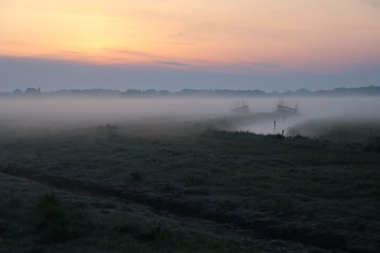 Mindfulness trainingen Almelo. Mindfulness als aandachtstraining bij stress