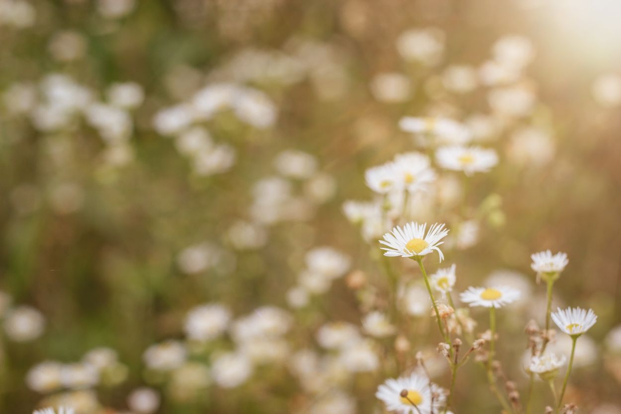  Mindfulness trainingen Bergen op Zoom (Noord-Brabant)