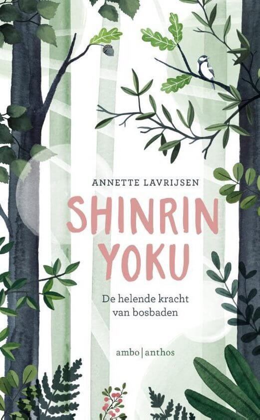 Mindfulness in de natuur. Ervaar de Japanse mindfulness trend van het bosbaden: Shinrin Yoku 