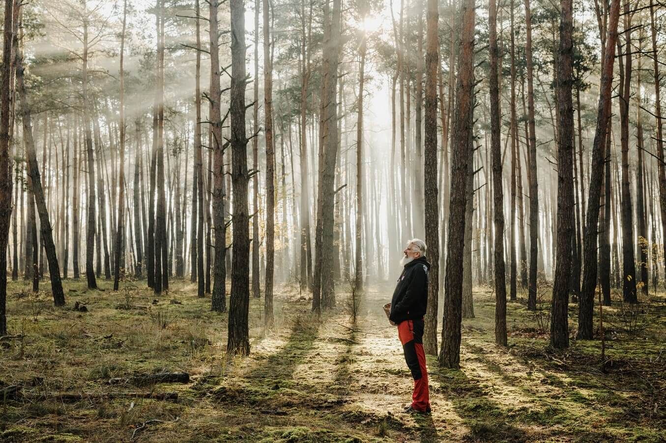 Shinrin-yoku oefeningen - mindfulness in de natuur 